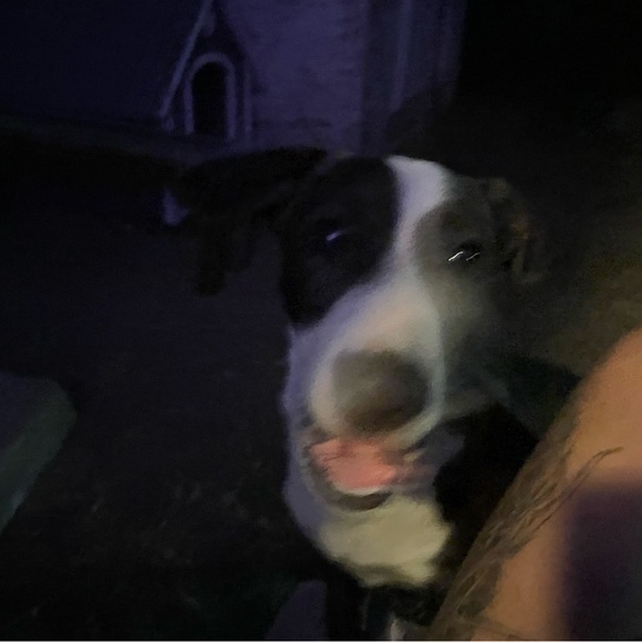 Love your life - Picture 5 of 13